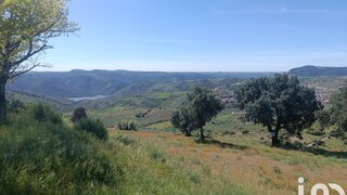 Terreno em Freixo de Espada à Cinta
