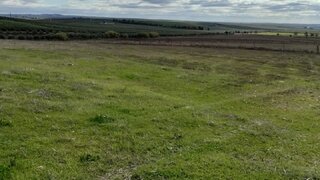 Terreno em Beja
