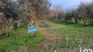 Terreno em Lousã