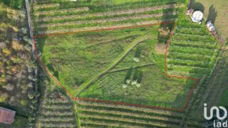 Land for sale in Anadia, Portugal — €80,000