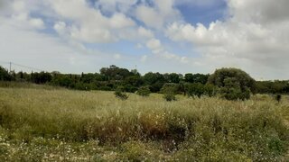 Land for sale in Torres Novas, Portugal — €1,000,000