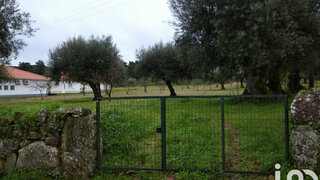 Land for sale in Celorico da Beira, Portugal — €35,000