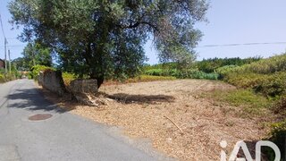 Land for sale in Vagos, Portugal — €42,500