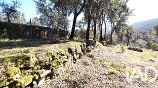 Land for sale in Sertã, Portugal — €39,000