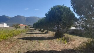 Land for sale in Alcobaça, Portugal — €86,000