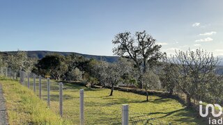 Land for sale in Sertã, Portugal — €55,000