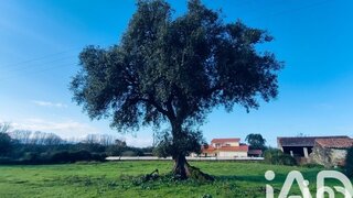 Land for sale in Valença, Portugal — €40,000