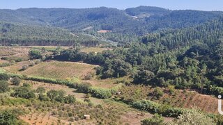 Land for sale in Mafra, Portugal — €89,000