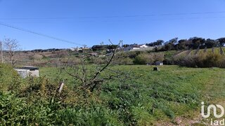 Land for sale in Alcobaça, Portugal — €24,000