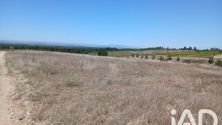 Land for sale in Alpiarça, Portugal — €20,000