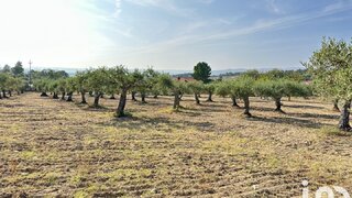 Land for sale in Celorico da Beira, Portugal — €130,000