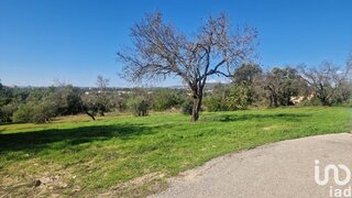 Land for sale in Loulé, Portugal — €79,000