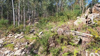 Land for sale in Vila Verde, Portugal — €43,500