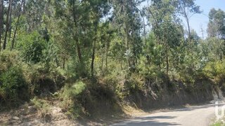Land for sale in Penafiel, Portugal — €50,000