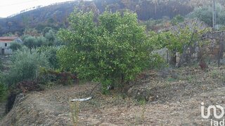 Land for sale in Proença-a-Nova, Portugal — €75,000