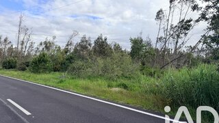 Land for sale in Marinha Grande, Portugal — €127,500