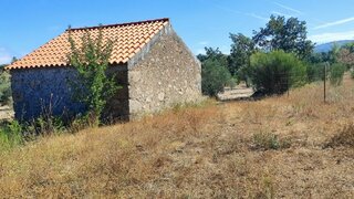Terreno em Celorico da Beira