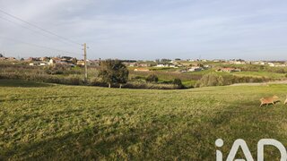Land for sale in Alcobaça, Portugal — €80,000