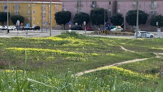 Land for sale in Peniche, Portugal — €475,000