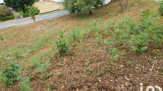 Land for sale in Lousã, Portugal — €40,000
