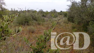 Terreno em Silves