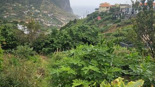 Land for sale in Machico, Portugal — €200,000