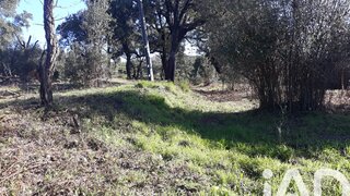 Terreno em Monchique