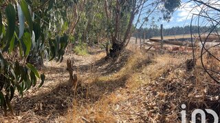 Land for sale in Torres Vedras, Portugal — €62,387