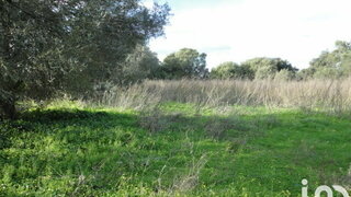 Land for sale in Loulé, Portugal — €79,000