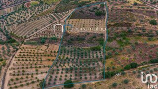 Land for sale in Mêda, Portugal — €31,500