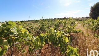 Land for sale in Silves, Portugal — €54,000