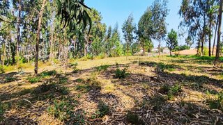 Land for sale in Vila Nova de Cerveira, Portugal — €37,000