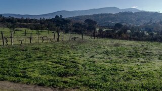 Land for sale in Oliveira do Hospital, Portugal — €35,000