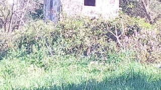 Land for sale in Esposende, Portugal — €195,000