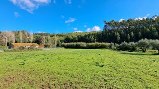 Land for sale in Rio Maior, Portugal — €76,000