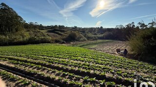 Land for sale in Peniche, Portugal — €59,000