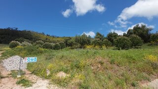 Land for sale in Rio Maior, Portugal — €65,000