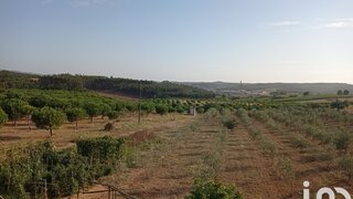 Land for sale in Cadaval, Portugal