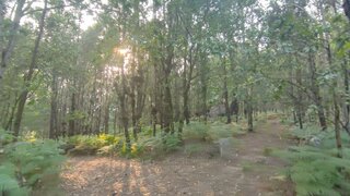 Land for sale in Ponte da Barca, Portugal — €55,000