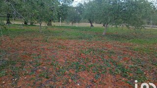 Land for sale in Loulé, Portugal — €50,000