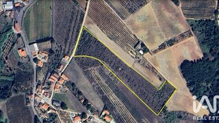 Land for sale in Bombarral, Portugal — €75,000