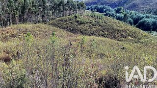 Land for sale in Mação, Portugal — €7,405