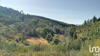 Land for sale in Sertã, Portugal — €100,000