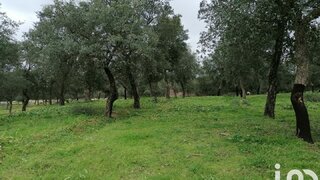 Land for sale in Viana do Alentejo, Portugal — €120,000