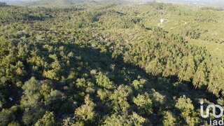 Terreno · 14 600 m² · 12 500 €