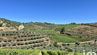 Land for sale in Vila Nova de Foz Côa, Portugal — €295,000