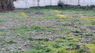 Land for sale in Barcelos, Portugal — €67,000