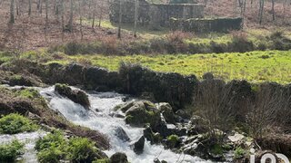 Land for sale in São Pedro do Sul, Portugal — €95,000