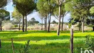 Land for sale in Grândola, Portugal — €2,000,000