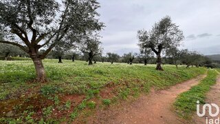Land for sale in Penela, Portugal — €30,000